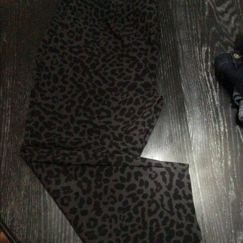 City Pants Torrid